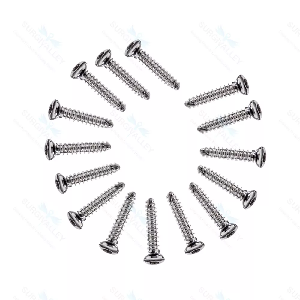 Cortical Cortex Screw 4.0mm Self Tapping Mini Fragments Orthopedic 100 Pcs