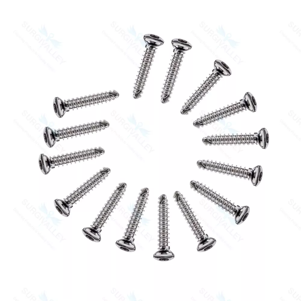 Cortical Cortex Screw 4.0mm Self Tapping Mini Fragments Orthopedic 100 Pcs