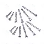 Cortical Cortex Screw 4.5mm Self Tapping Mini Fragments Orthopedic 100 Pcs