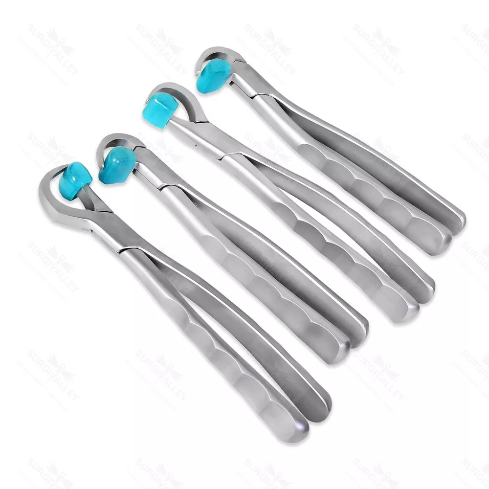 Dental Extraction Forceps Standard Series Set Of 4 Pcs