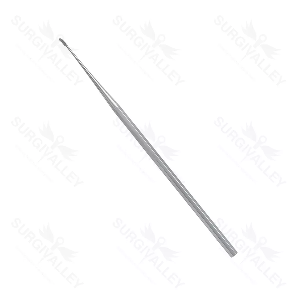 Beales Rasparatory Curve Ear Micro Surgery Rasparatory Instruments