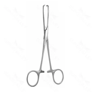 6″ Boys-Allis Forceps – heavy 5×6 – surgivalley (S01-78-00-536)