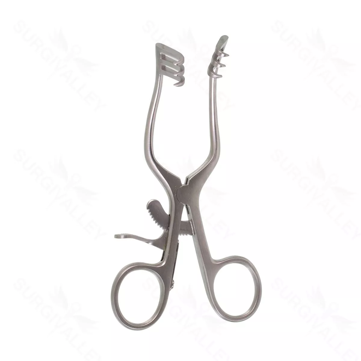 Wullstein Weitlaner Retractor 3×3 semi sharp prngs 5 1/8″