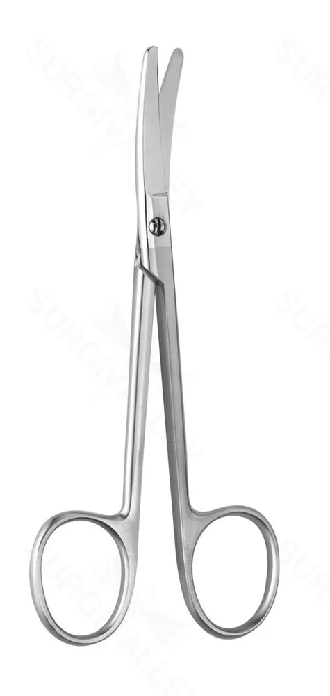 4 1/2″ Cottle Bulldog Nasal Scissors blunt cvd