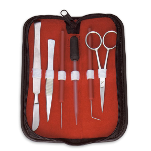 Sheep Brain Dissection Instruments Kit – surgivalley (SV-98-1155)